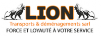 Lion - CST - Central Services & Transports