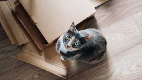 Carton Déménagement boîtes et fournitures pas cher